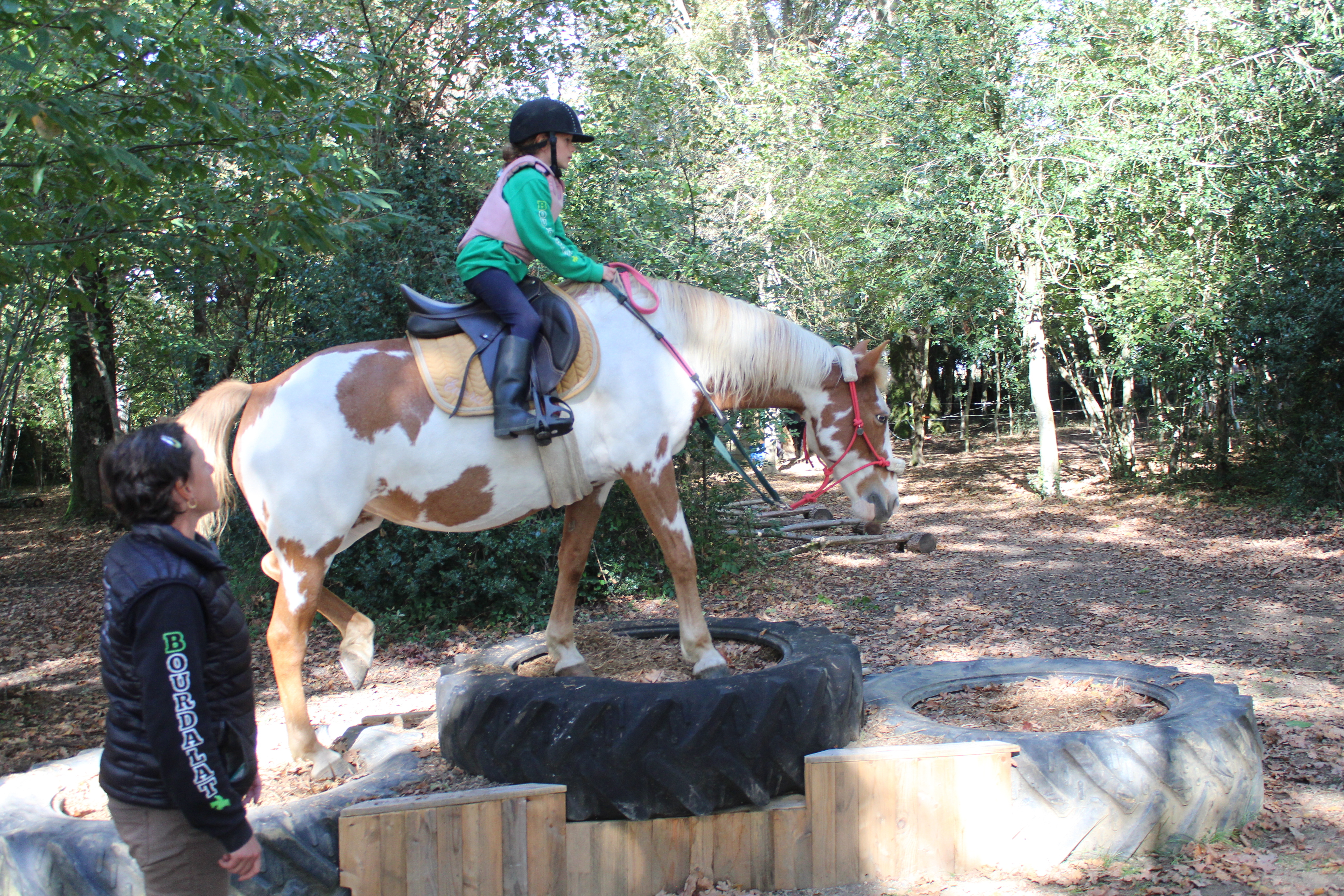 Préparation physique des chevaux