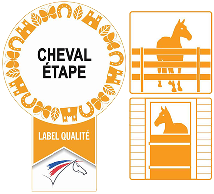 Cheval étape